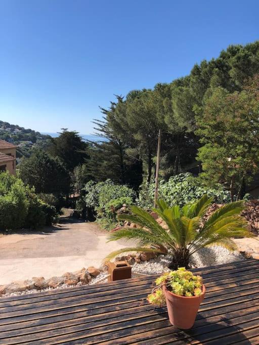 Maison St Clair Vue Mer Sete Exterior photo